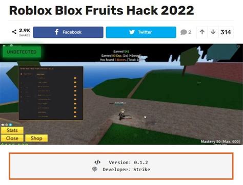 how to hack blox fruits roblox 2025 pc