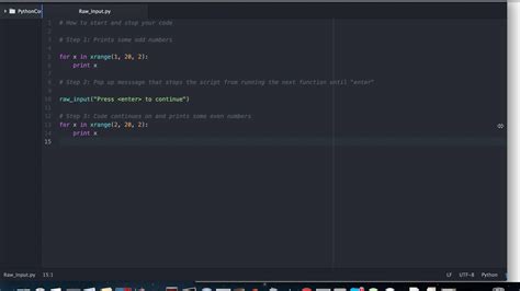 how to halt code in python