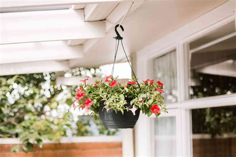How To Hang Multiple Hanging Baskets