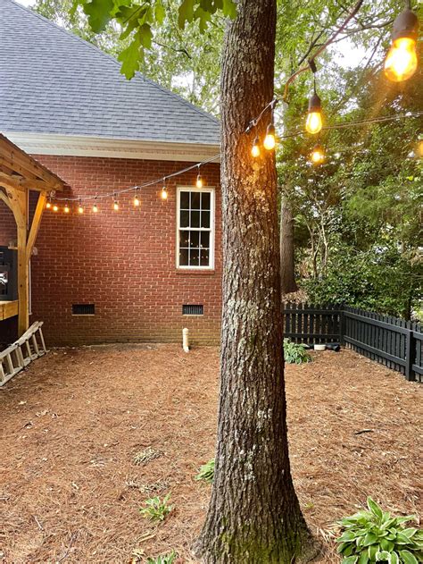 How To Hang String Lights From Tree To House