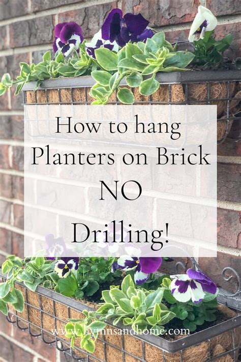 How To Hang Wall Planters