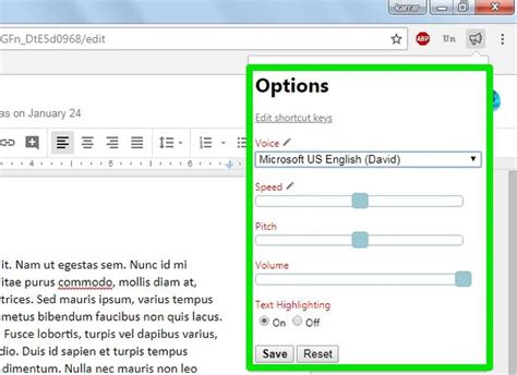 how to have text read aloud on google docs