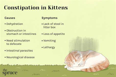 how to help with cat constipation