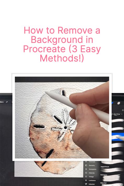 How To Hide An Image In Procreate