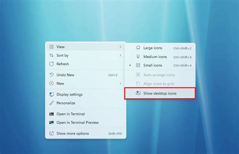 how to hide app icon from desktop