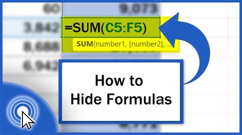 how to hide formulas in excel on mac