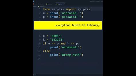 how to hide password in python