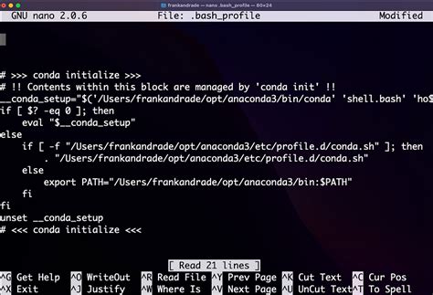 how to hide password in python script