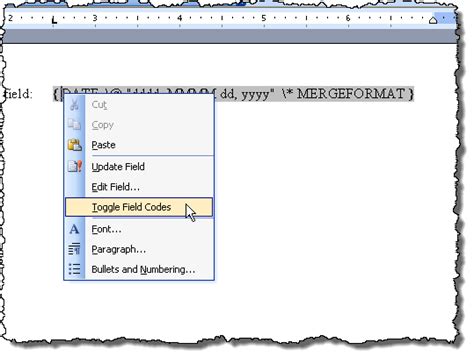 How To Hide Xe Codes In Word