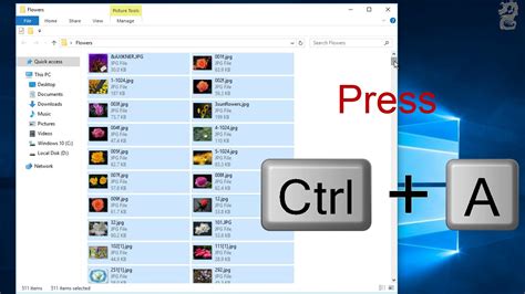 How To Highlight Files In Folder