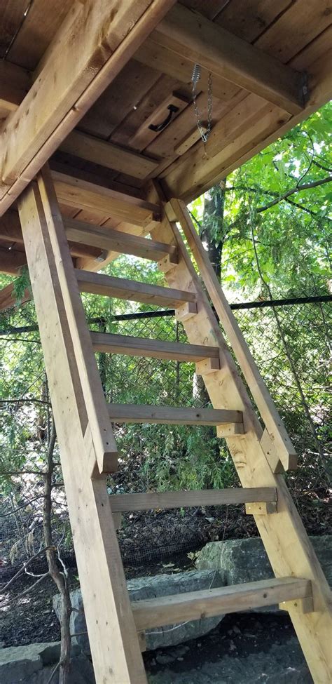 how to hinge a trap door for a treehouse