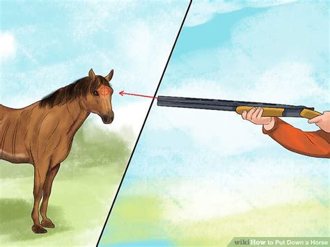 how to humanely put down a horse
