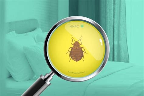 Here Are 9 Facts Unveiled: Your Comprehensive Guide to Identifying Bedroom Pests
