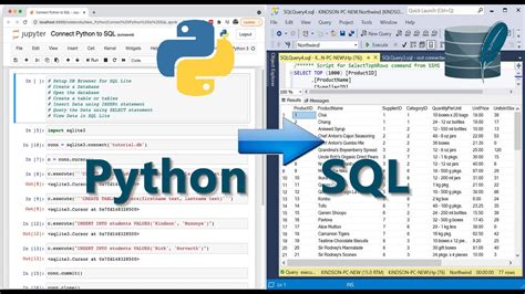 how to import sql database in python