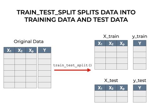 how to import test train split in python