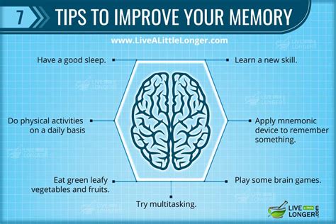 how to improve brain memory and concentration