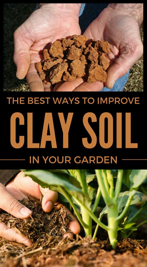 Improve Your Clay Soil Lawn CRAZY PROOF from Fire Ants! YouTube