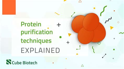 how to improve protein purification