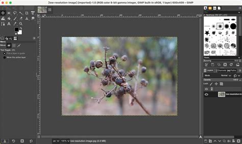 how to improve the quality of an image in gimp