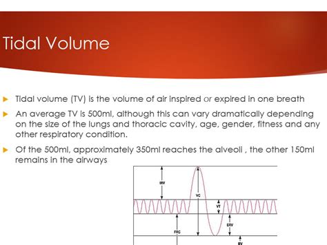 How To Improve Tidal Volume