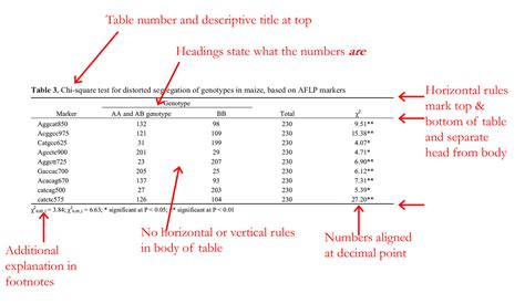 How To Include A Table In A Report