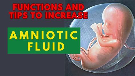 How To Increase Amniotic Fluid In First Trimester