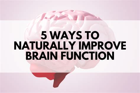 how to increase brain function reddit