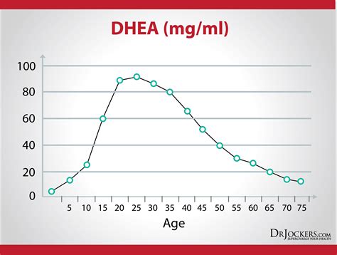 How To Increase Dhea Sulfate Levels