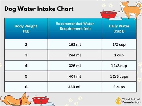 How To Increase Dog Fluid Intake