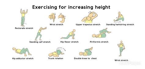 how to increase height by stretching exercise