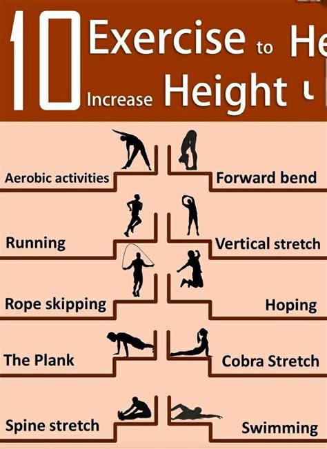 how to increase height through exercise