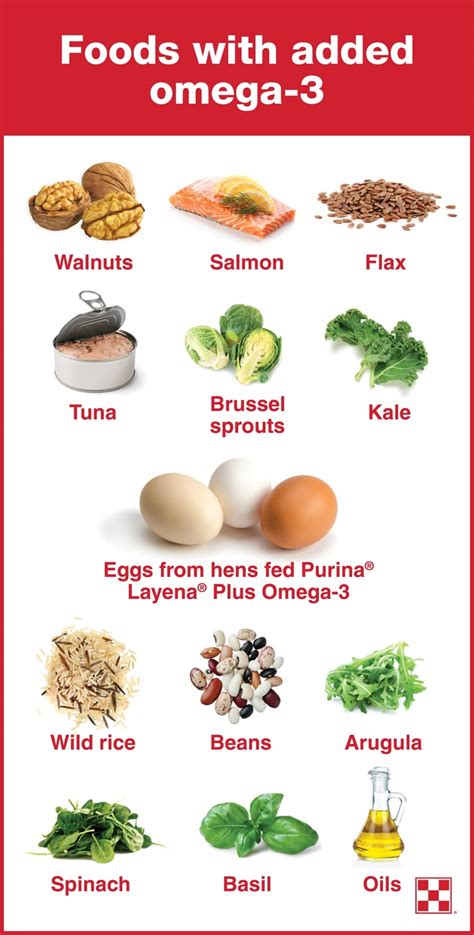 How To Increase Omega-3 In Eggs