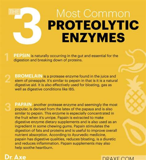 how to increase proteolytic enzymes