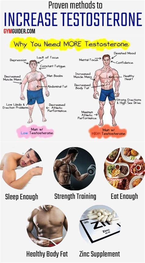 how to increase testosterone in men with exercise