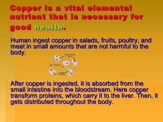How To Ingest Copper
