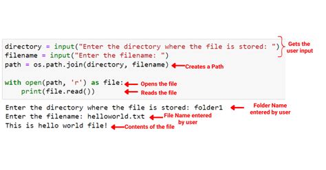 how to input path in python