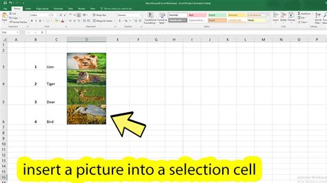 how to insert a picture into a cell in excel