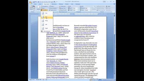 how to insert double horizontal line in word