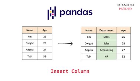 how to insert empty row in pandas dataframe