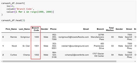 how to insert new column in dataframe python