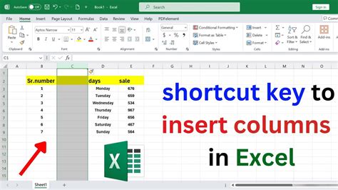 how to insert new column in excel shortcut key