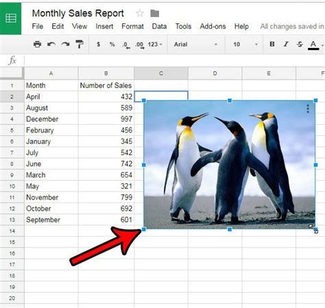 how to insert pic in google sheets