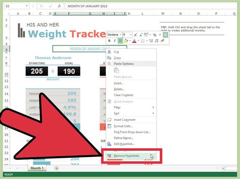 how to insert picture in excel using link