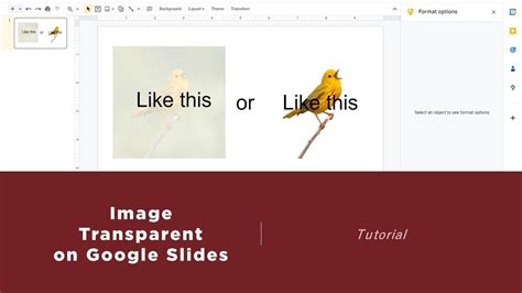 How To Insert Transparent Background Image In Google Slides