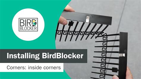 How To Install Bird Blocks
