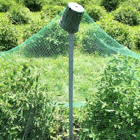 how to install bird netting over garden