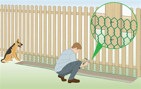 How To Install Chicken Wire To Keep Dog From Digging