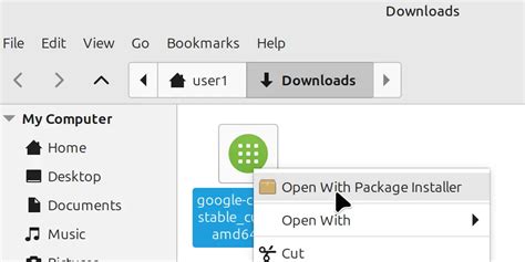 how to install chrome in linux mint 22