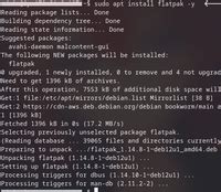 how to install flatpak on linux lite