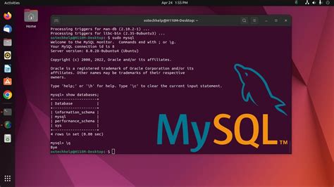 how to install mysql on ubuntu server 24.04